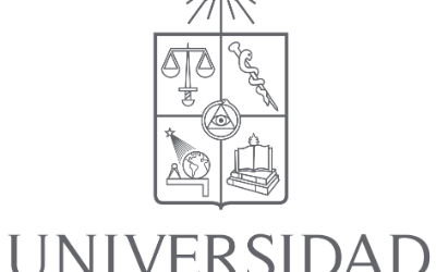 Logo Universidad de Chile e gris