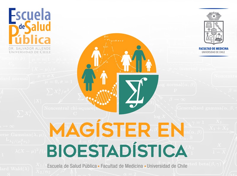 Único programa a nivel nacional que forma magísteres en Bioestadística