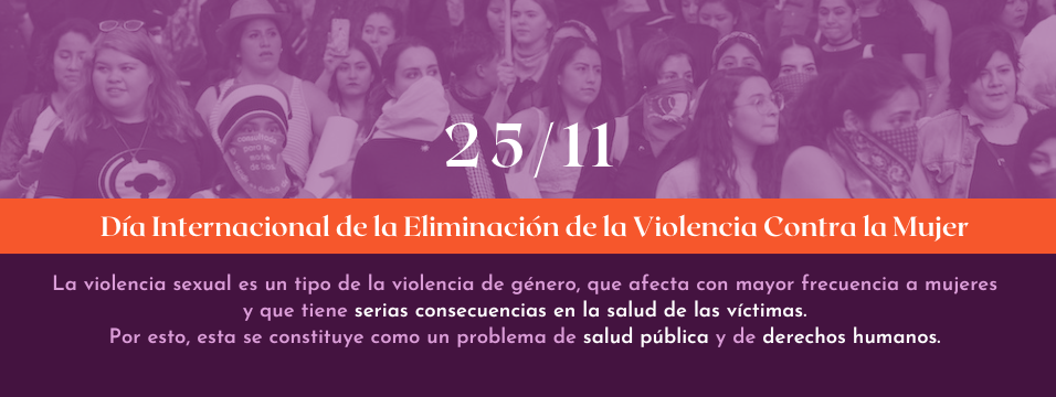 Revisa las infografías en el marco del día Internacional de la Eliminación de la Violencia Contra la Mujer